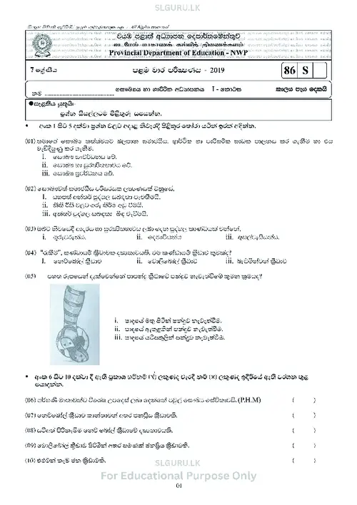 Grade 7 Health First Term 2019 North Western Province (SM) thumbnail
